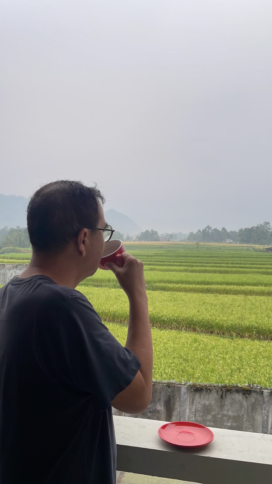 Menikmati kopi pagi di balkon, menghadap sawah